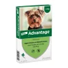 Advantage Anti Vlooiendruppels 40 Hond 1,5 - 4 kg 4 pipetten