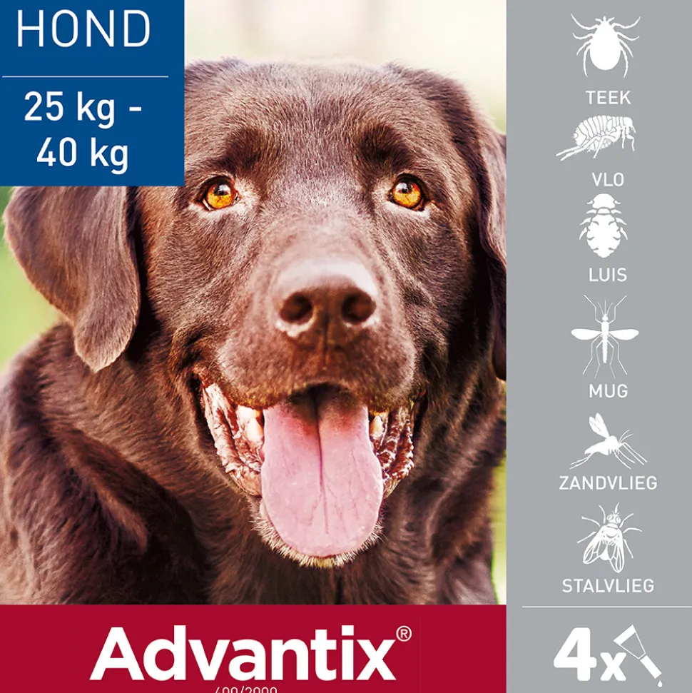 Advantix Spot On 400 Anti Vlooien en Teken Druppels Hond 25 - 40 kg 4 pipetten