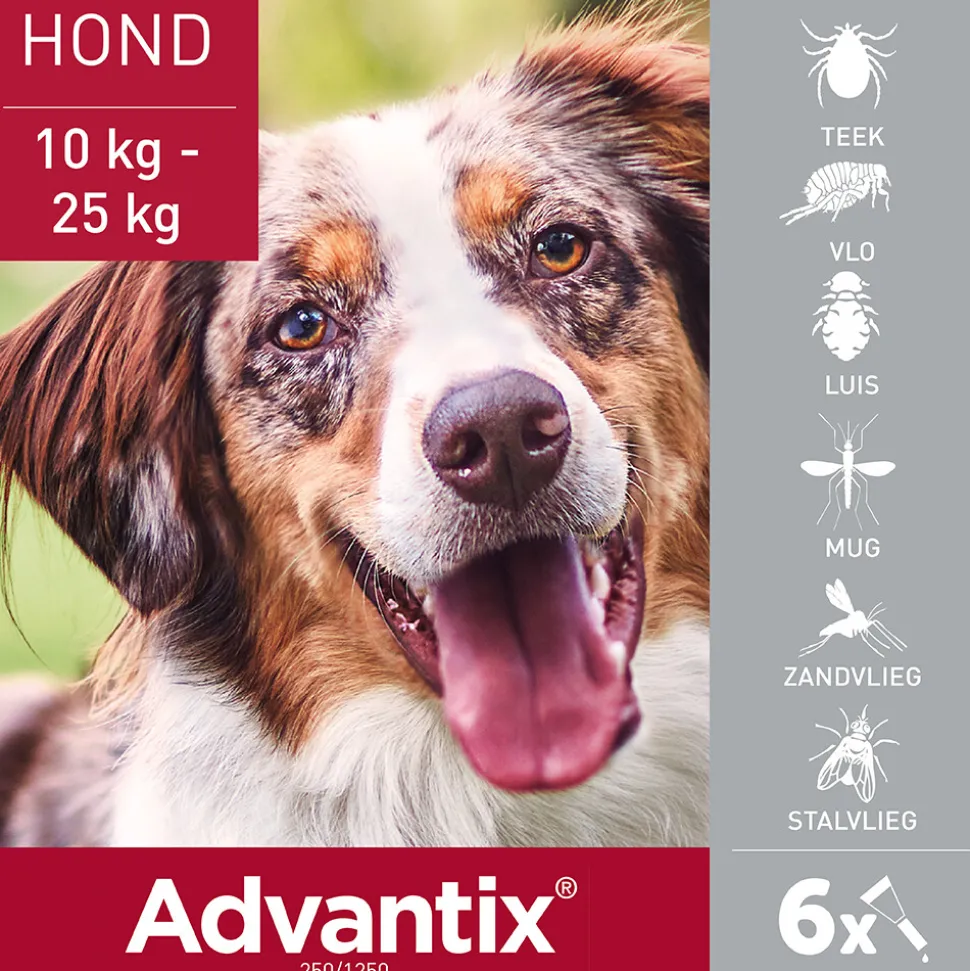 Advantix Spot On 250 Anti Vlooien en Teken Druppels Hond 10 - 25 kg 6 pipetten