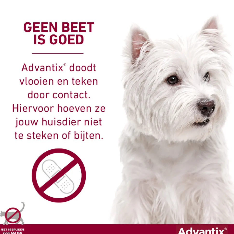 Advantix Spot On 100 Anti Vlooien en Teken Druppels Hond 4 - 10 kg 4 pipetten