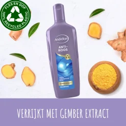 Andrélon Shampoo Anti Roos 300 ml