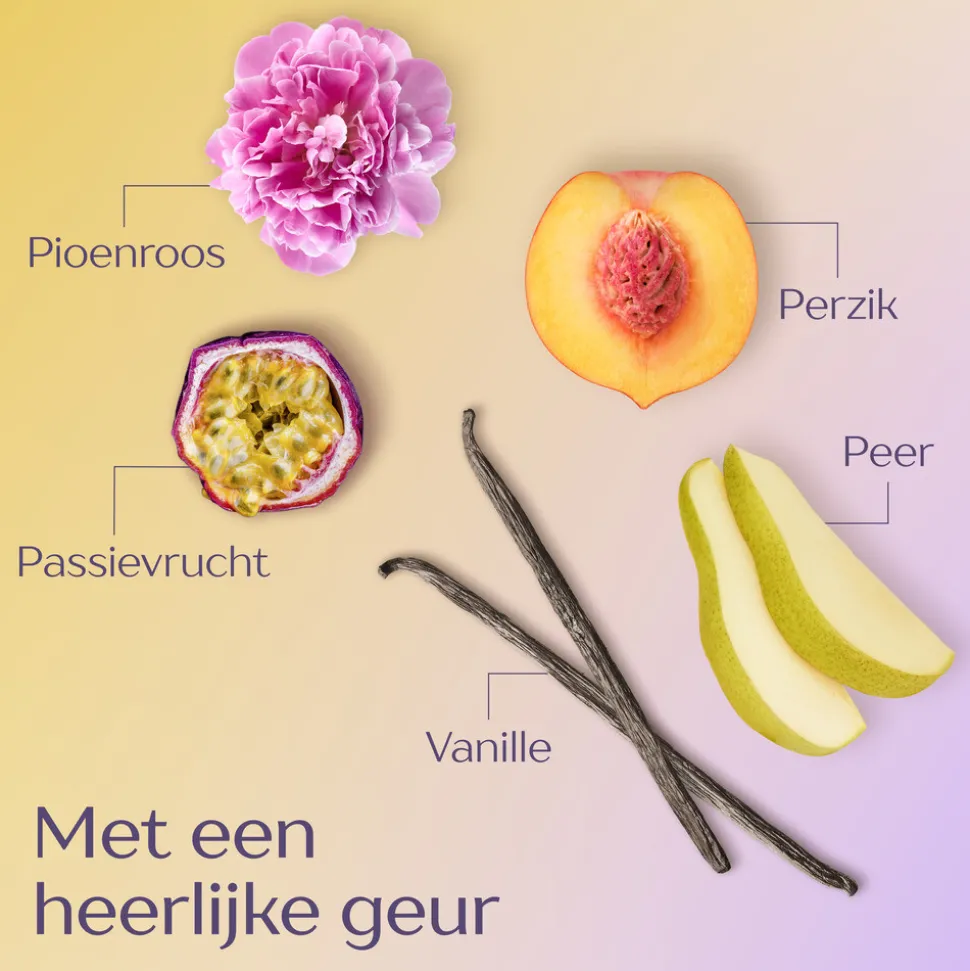 Andrélon Shampoo Perfecte Krul 250 ml