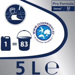 Andy Professional Allesreiniger Citroen Fris Pro Formula 5 liter