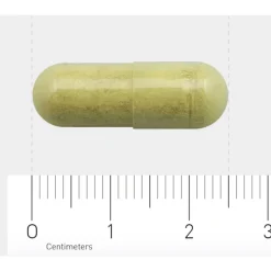 AOV 310 Ester C (650 mg) 60 vegacapsules
