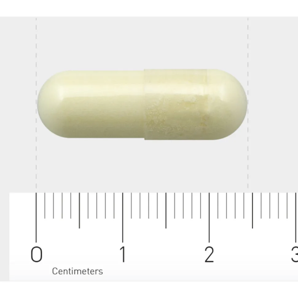 AOV 510 Magnesium AC 60 vegacapsules