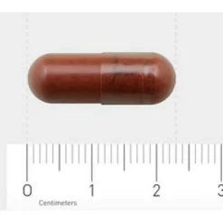 AOV 1104 Rode Gist Rijstextract 90 vegacapsules