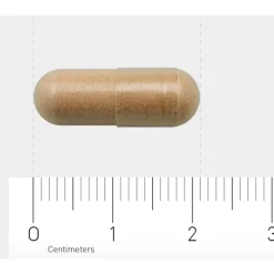 AOV 828 Salvia-extract 60 vegacapsules