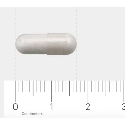 AOV 250 Vitamine B12 & Foliumzuur (800 mcg) 60 vegacapsules