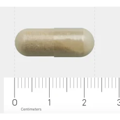 AOV 313 Vitamine C 500 90 vegacapsules
