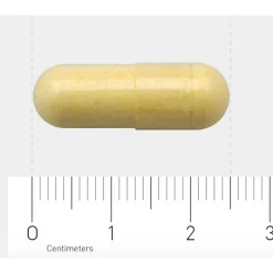 AOV Multi Basis 101 60 vegacapsules