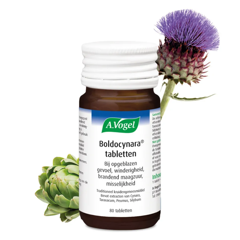 A.Vogel Boldocynara 80 tabletten