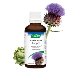 A.Vogel Boldocynara Druppels 50 ml