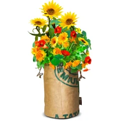 Baza Bio Wildbloemen Met Insectenhotel Oranje