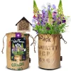 Baza Bio Wildbloemen Met Insectenhotel Paars