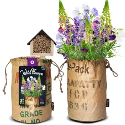 Baza Bio Wildbloemen Met Insectenhotel Paars