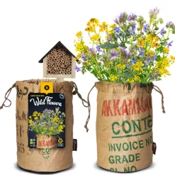 Baza Bio Wildbloemen Met Insectenhotel Geel