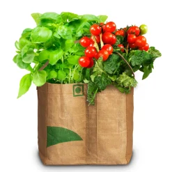 Baza Duo-Tuintje Caprese Bio Tomaat En -Basilicum