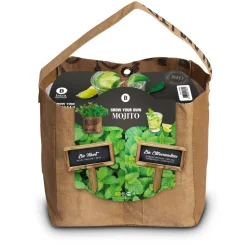 Baza Duo-Tuintje Mojito Bio Munt En -Citroenmelisse