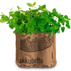 Baza Duo-Tuintje Mojito Bio Munt En -Citroenmelisse