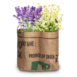 Baza Duo-Tuintje Thee Bio Kamille En -Lavendel