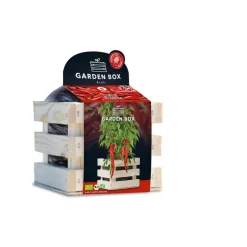 Baza Garden Box Bio Chili Peper