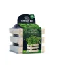 Baza Garden Box Bio Koriander