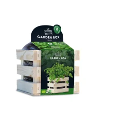 Baza Garden Box Bio Koriander