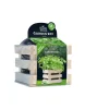 Baza Garden Box Bio Peterselie