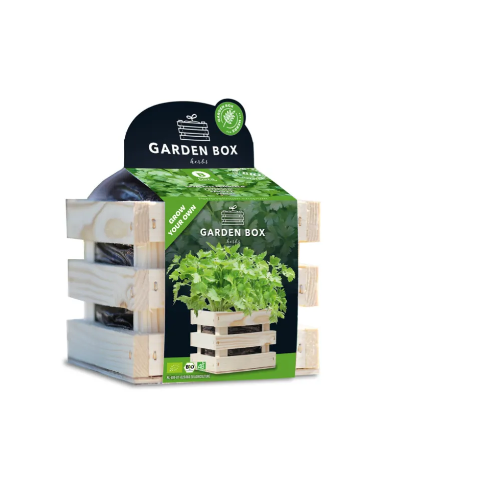 Baza Garden Box Bio Peterselie