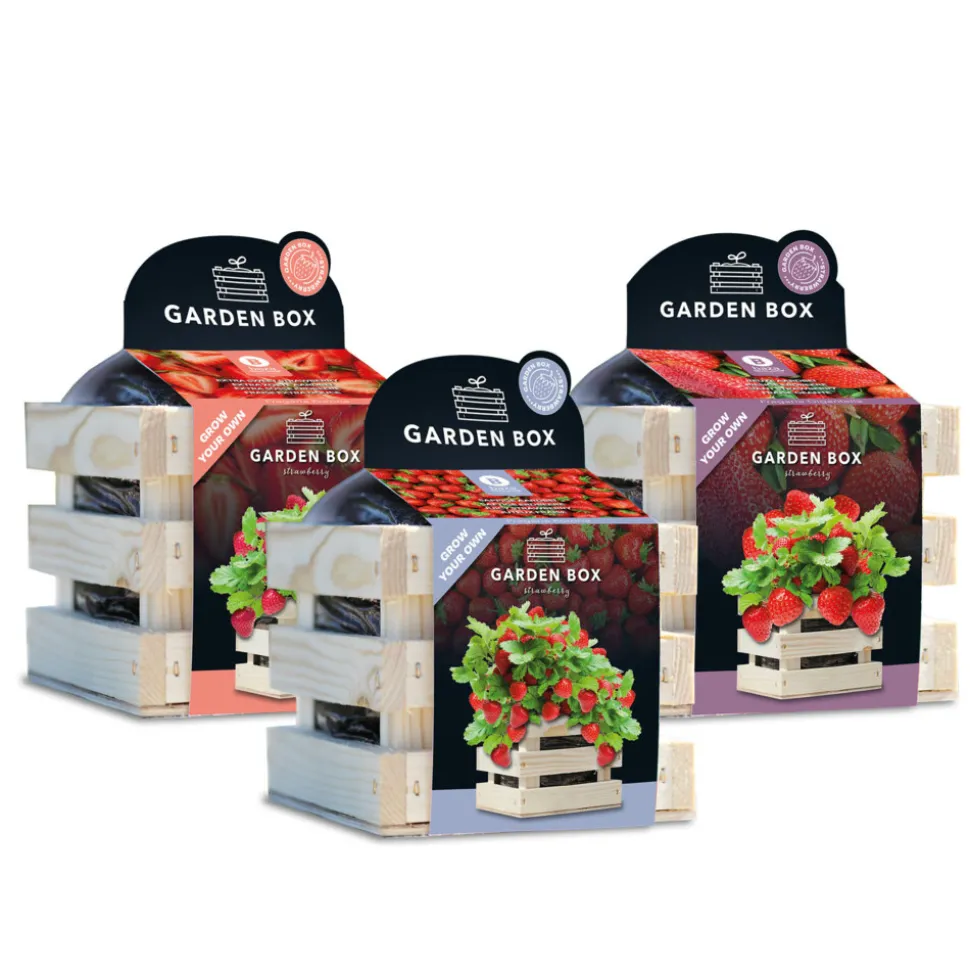 Baza Gardenbox Set Aardbeien 1 set