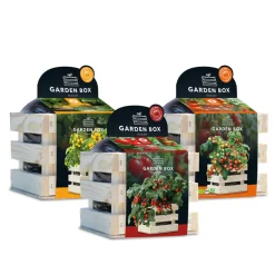 Baza Gardenbox Set Tomaten 1 set