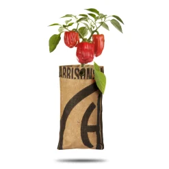 Baza Hangtuin Bio Paprika