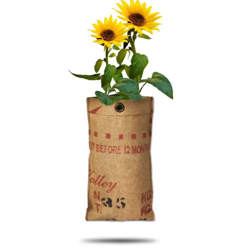 Baza Hangtuin Bio Zonnebloem