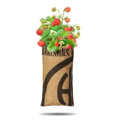 Baza Hangtuin Bosaardbei