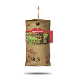 Baza Hangtuintjes Set Aardbeien 1 set