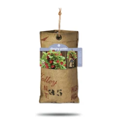 Baza Hangtuintjes Set Aardbeien 1 set