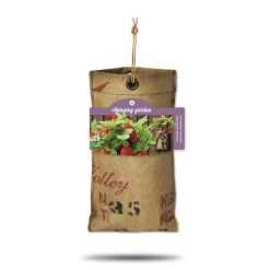 Baza Hangtuintjes Set Aardbeien 1 set