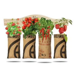 Baza Hangtuintjes Set Groenten 1 set