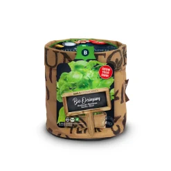 Baza Keukentuintje Bio Basilicum Genovese