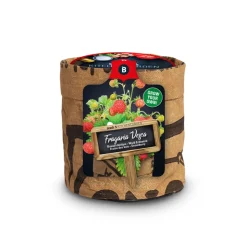 Baza Keukentuintje Bio Bosaardbei