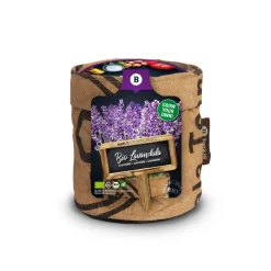 Baza Keukentuintje Bio Lavendel