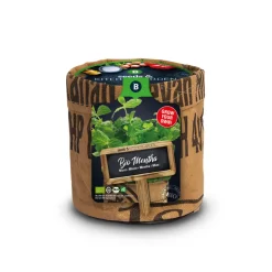 Baza Keukentuintje Bio Munt