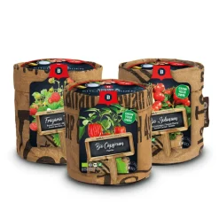 Baza Keukentuintjes Set Kruiden Groot 1 set