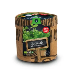 Baza Keukentuintjes Set Kruiden 1 set