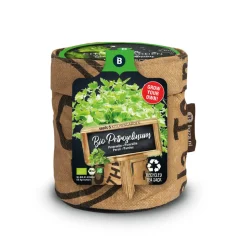 Baza Keukentuintjes Set Kruiden 1 set