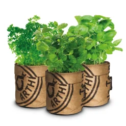 Baza Keukentuintjes Set Kruiden 1 set