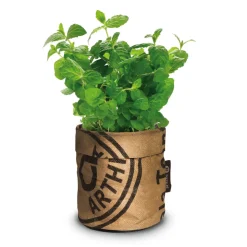 Baza Keukentuintjes Set Kruiden 1 set