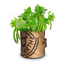 Baza Kindertuintje Greensquad Snelle Boontjes Speedy