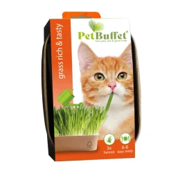 Baza Pet-Buffet Kattengras Rich & Tasty Poes Set 3 x Kweken