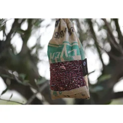 Baza Vogel- Buffet Picknick Sijsjes